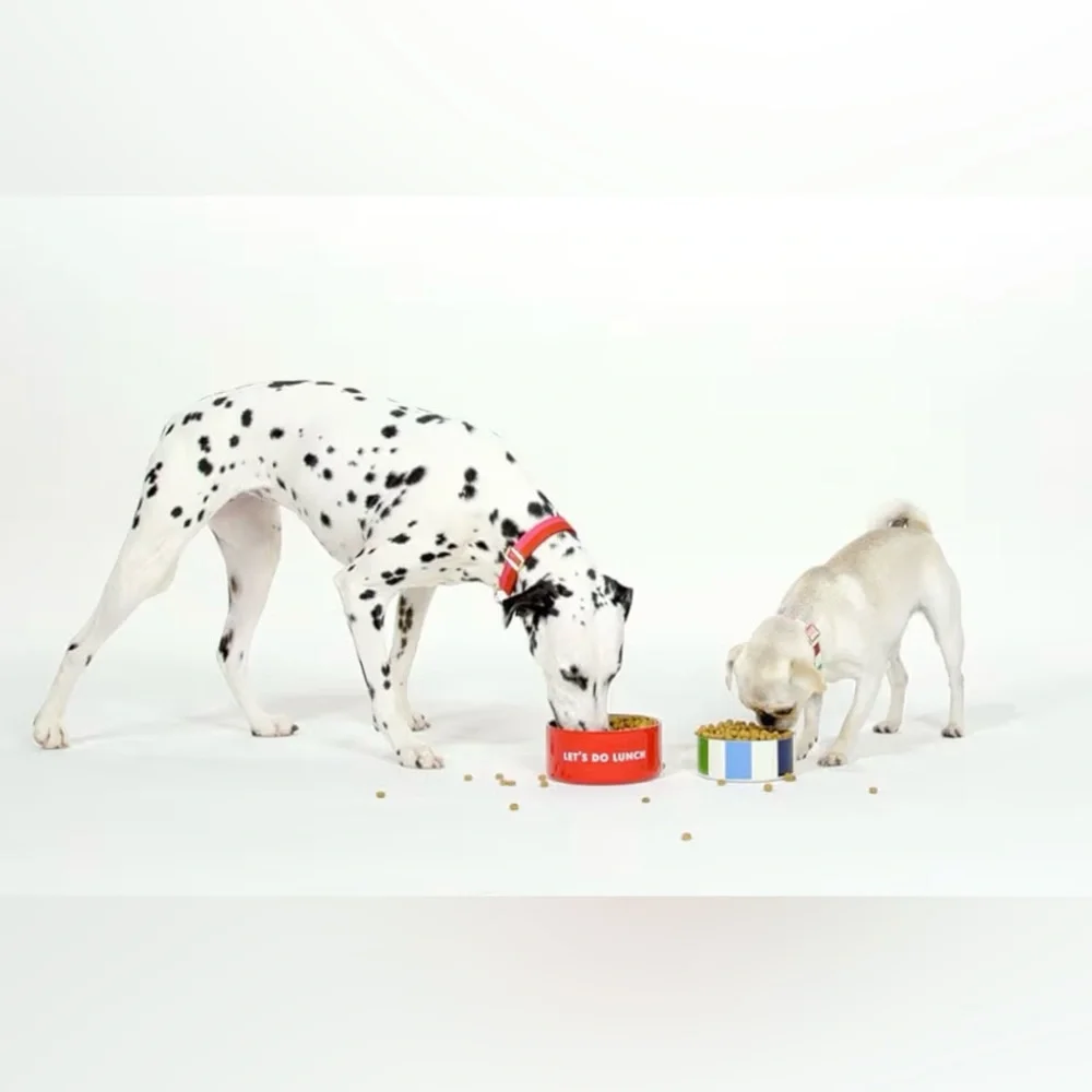 NEW kate spade multi-colored Striped Dog Bowl. pink/red/blue/green adorable!